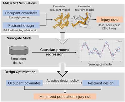 Adaptive restraint design for a diverse population through machine learning